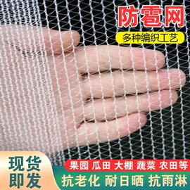 安全平网;盖土网;攀爬网