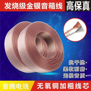Audio cable Gold Silver 2*300 copper core amplifier speaker speaker cable