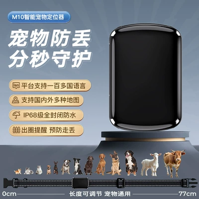 Beidou 4g Pet Gps Locator Cat and Dog Anti-Loss Waterproof and Dustproof Wireless Collar Global Positioning