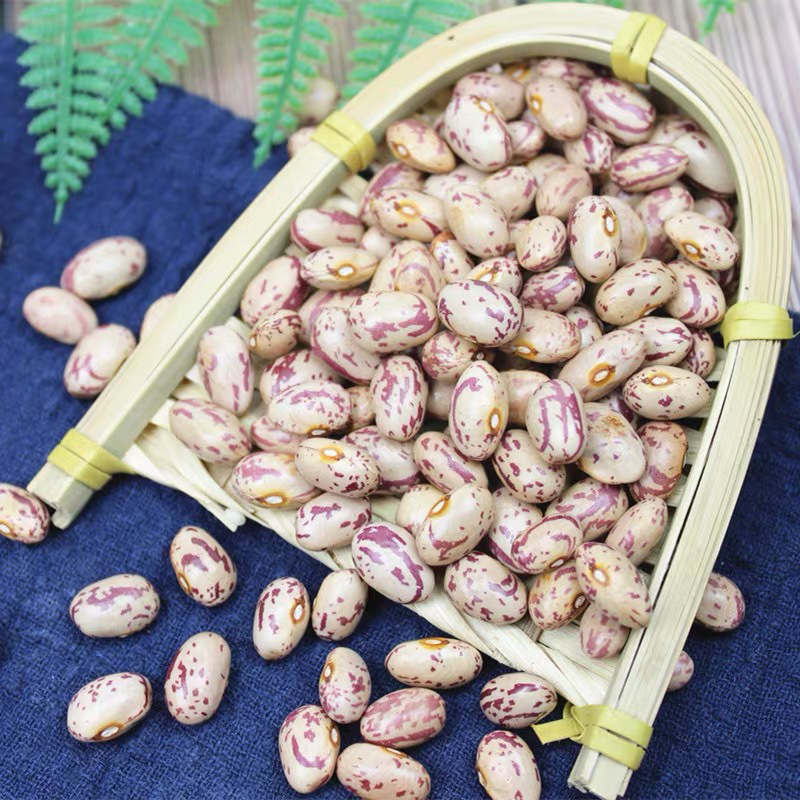 雀蛋豆新货云南农家自种金丝豆红花豆奶花豆芸豆五谷杂粮粗粮包邮-阿里巴巴