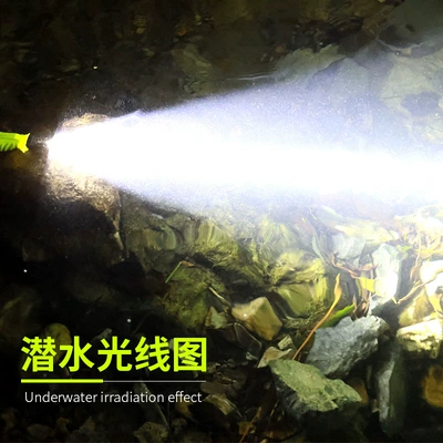 UV fənərlər: Diving Night Diving Fish Catching