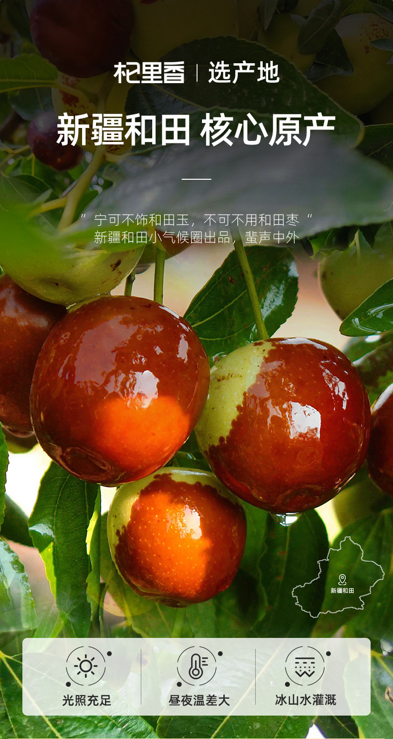 Dried Xinjiang Red Dates 250g Premium Thin Skin Thick Flesh Jujube for Soup and Snacking quality and texture