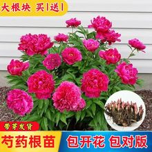 ��ș�����ļ��_����������ș���K�ذ��ͥԺ�̨���Ի��ܴ�ȫ