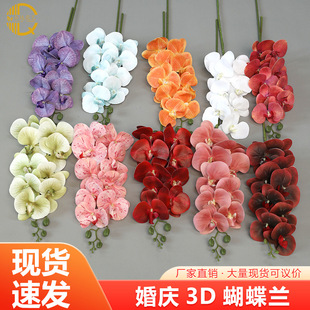 ��������m3D��ӡ�ָ��zƬ���滨�ٻ��bҾӔ[����Y���������l