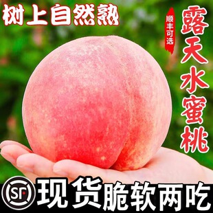 ����ˮ�������rˮ��5������Ӯ����Fժ�r�����ë��ܛ��������]