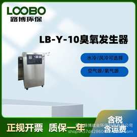 LB-Y-10氧气源臭氧发生器主机 臭氧机 生产车间空间消毒 果蔬保鲜