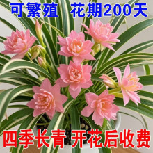 ��Ʒ�������ذ�󻨽�߅���m���ĵ��m���~�����k���҃ȾGֲ��ֲ��