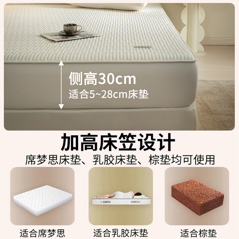 Sombrilla de cama de algodón de una sola pieza de algodón acolchado acolchado Simmons protector funda de cama de algodón 2024 nuevo estilo Four Seasons Universal