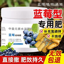 蓝莓专用缓释颗粒肥中量元素水溶肥蓝莓果树盆栽家用型颗粒肥