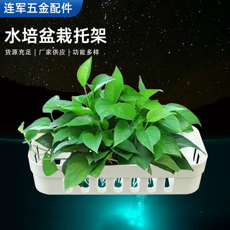 鱼缸壁挂式水培红薯篮家用水草绿萝种植蓝鱼缸造景装饰水培植物篮