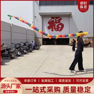定制儿童筒子龙高空彩条龙带甩甩龙杆便携舞龙道具儿童表演健身龙