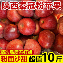 海棠果陕西秦冠水果新鲜应季水果香甜粉面刮泥丑水果批发批发