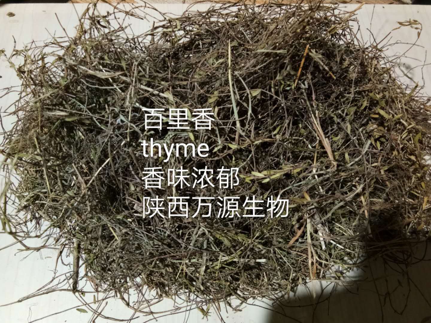 产地直销 百里香大货 百里香原料 百里香茶 thyme tea