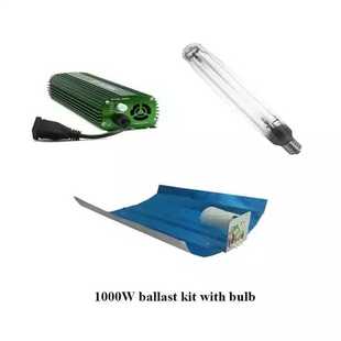 1000w Hps electronic ballast kit planting lamp hydroponic EU ce certification planting lamp suit