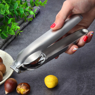 �����_���������ӄ����������A���_������ȥƤ���߼���ʮ�ֻ��ڙC