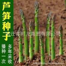 ���羳��؛���J�S�N���̨���ԾGɫ�J�S��ɫˮ���J�S��ɫ�J�S�N��