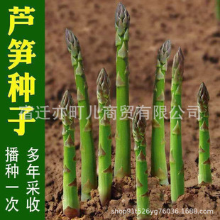 ���羳��؛���J�S�N���̨���ԾGɫ�J�S��ɫˮ���J�S��ɫ�J�S�N��
