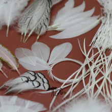 厂家直销白色色羽毛系列DIY饰品工艺品摆件配件服装辅料装饰羽毛