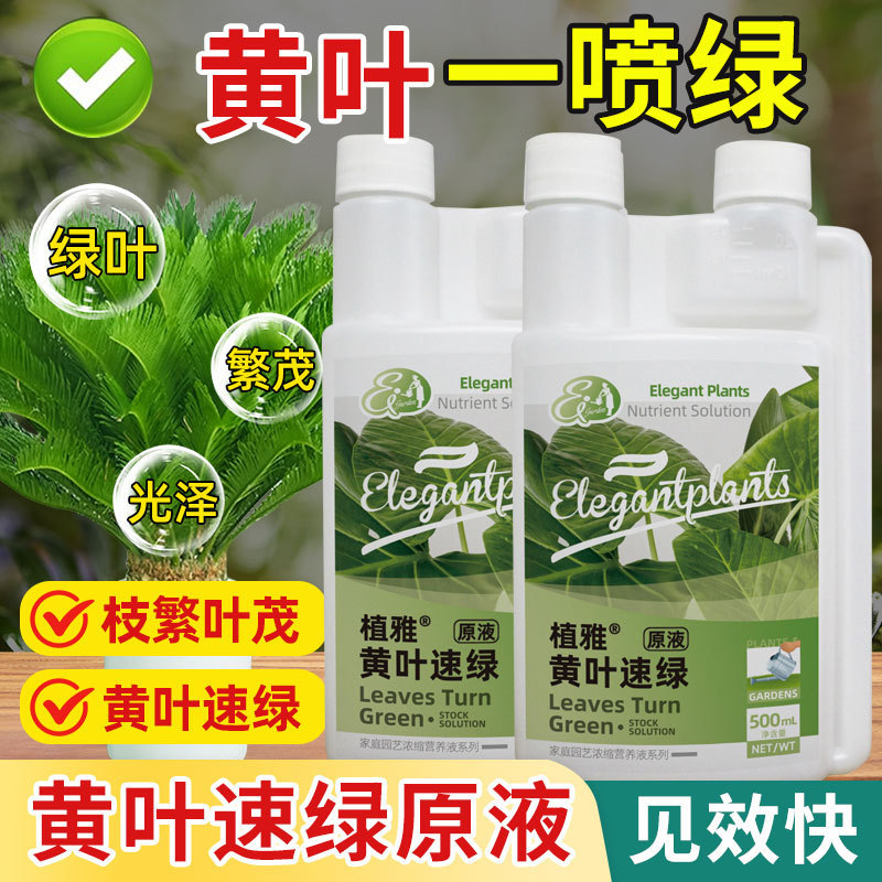 黄叶速绿原液植物通用型家庭园艺促生长营养液改善黄叶温和不伤根|undefined
