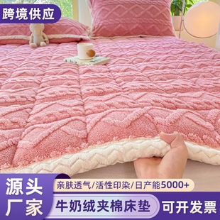 Thickened Milk Velvet Soft Mattress Autumn and Winter Warm Mattress Pad Bottom Lamb Velvet Student Dormitory Home Mattress