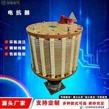 源头直供环氧浇筑铜制线圈电抗器 抑制滤波吸收谐波电容器变频器
