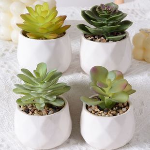 Simulation succulent plant cactus ins artificial fake flower green plant wall indoor home decoration small ornaments combination