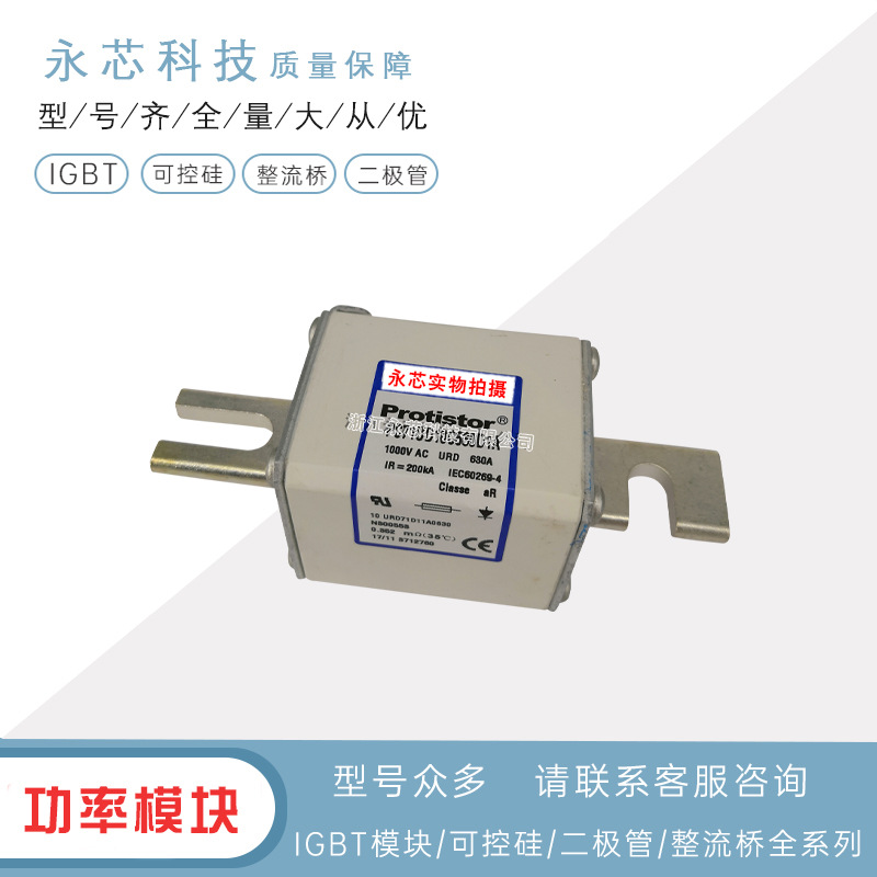 PC71GB69V200PA	A301254全新原装双连体熔断器快速保险丝现货速发