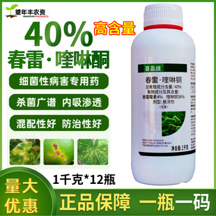 ϲӯ��40%��������~�������rș�S�ϼ����Խǰ߲�����ù�����ͪ