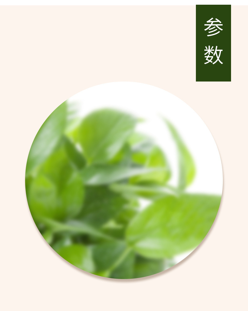 7c3a47f0-060b-49fc-aa13-892dfcf2642d.jpe