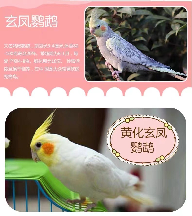 2f813a23-32d9-4743-a05f-f163f4fee2c5.jpe