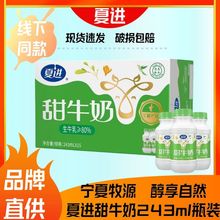夏进甜牛奶243ml瓶装 新日期宁夏清真食品学生儿童孕妇成人早餐