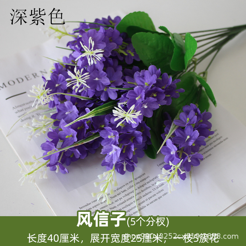 Jacinto púrpura oscuro