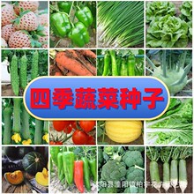 �ļ��߲˷N�Ӵ�ȫ��ͥ�ˈ@�S�϶��Ƿ����������ĹϹ��߲˷N�ѷN��