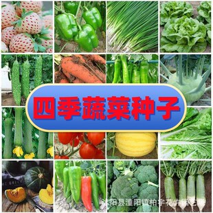�ļ��߲˷N�Ӵ�ȫ��ͥ�ˈ@�S�϶��Ƿ����������ĹϹ��߲˷N�ѷN��