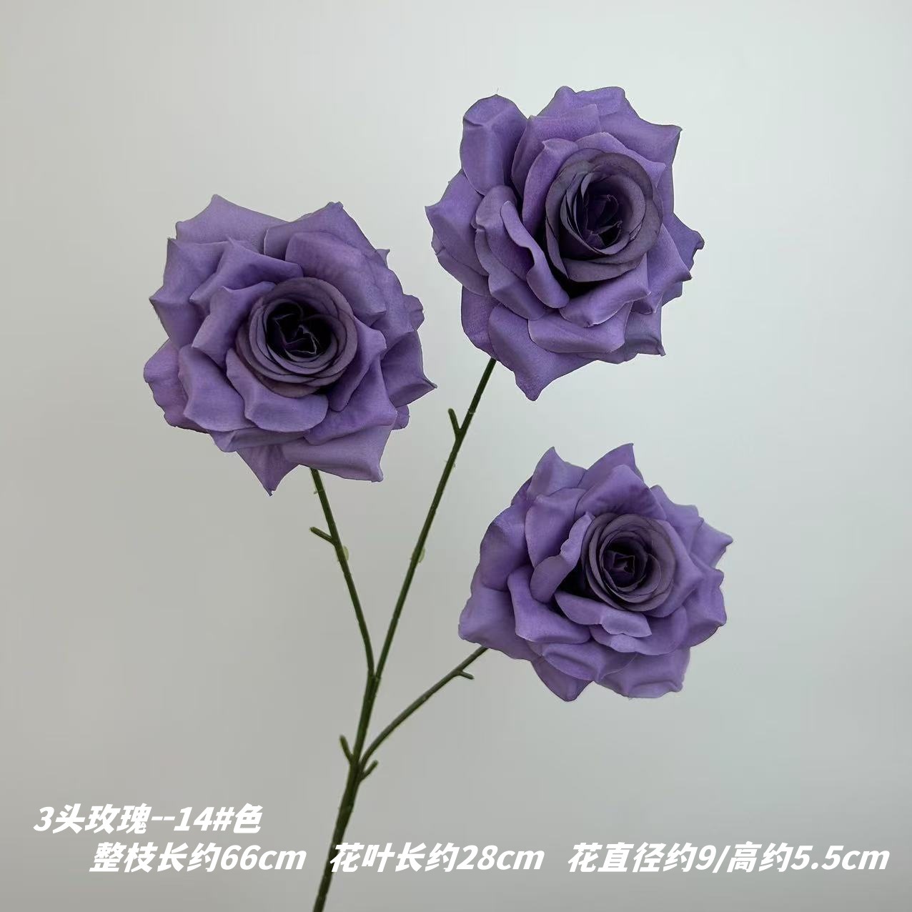 14 # 색상