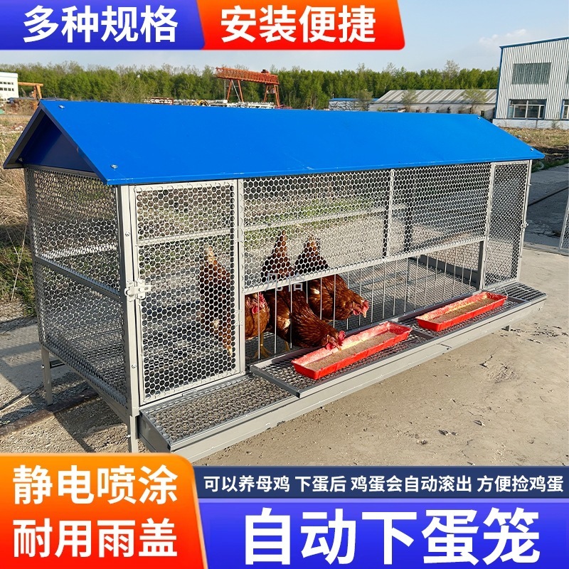 尖顶鸡笼室外饲养笼防鼠黄鼠狼防雨加密加厚鸭鹅兔芦丁鸡养殖笼子|undefined