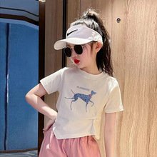 Ůͯ���޶���t���̿�2025�¿����b��Ҏ�t��ͯ�ް�����Ů�������