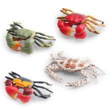 跨境仿真海洋动物螃蟹模型儿童认知大闸蟹毛蟹梭子蟹装饰摆件玩具