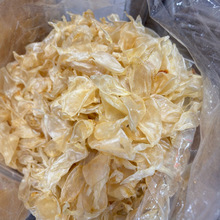 ���u���z���׻��z  С���~�z ���z���l 500�� ����