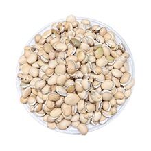 �ױⶹ �ⶹ�� �ױⶹ�� �İױⶹ ���ױⶹ ����s�Z ����