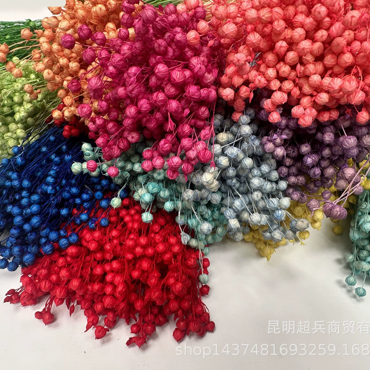 【Eternal Flower Acacia Bean】Yunnan Craft Gift Materials Dried Flower Fugui Beans (Fugui Beans) Shiba Beans
