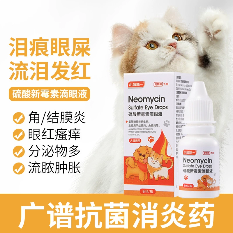 Кошачьи глазные капли Воспаление глаз слезы сульфата неомицина глазные капли