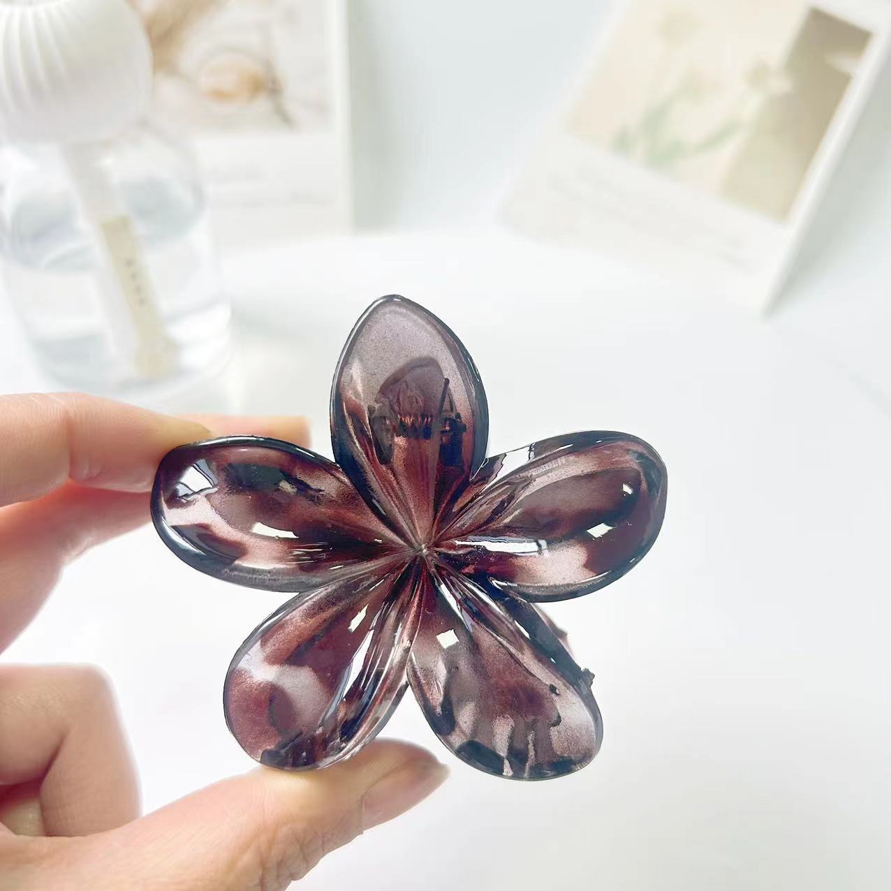 투명한 회색 거북이 껍질