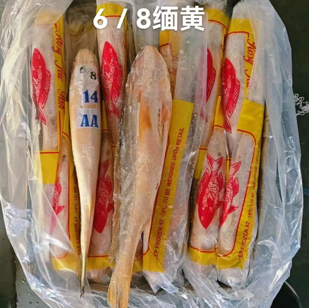 海鲜缅甸黄鱼冷冻烧烤小黄花鱼海鲜鱼类商超海鲜水产整箱商用批发