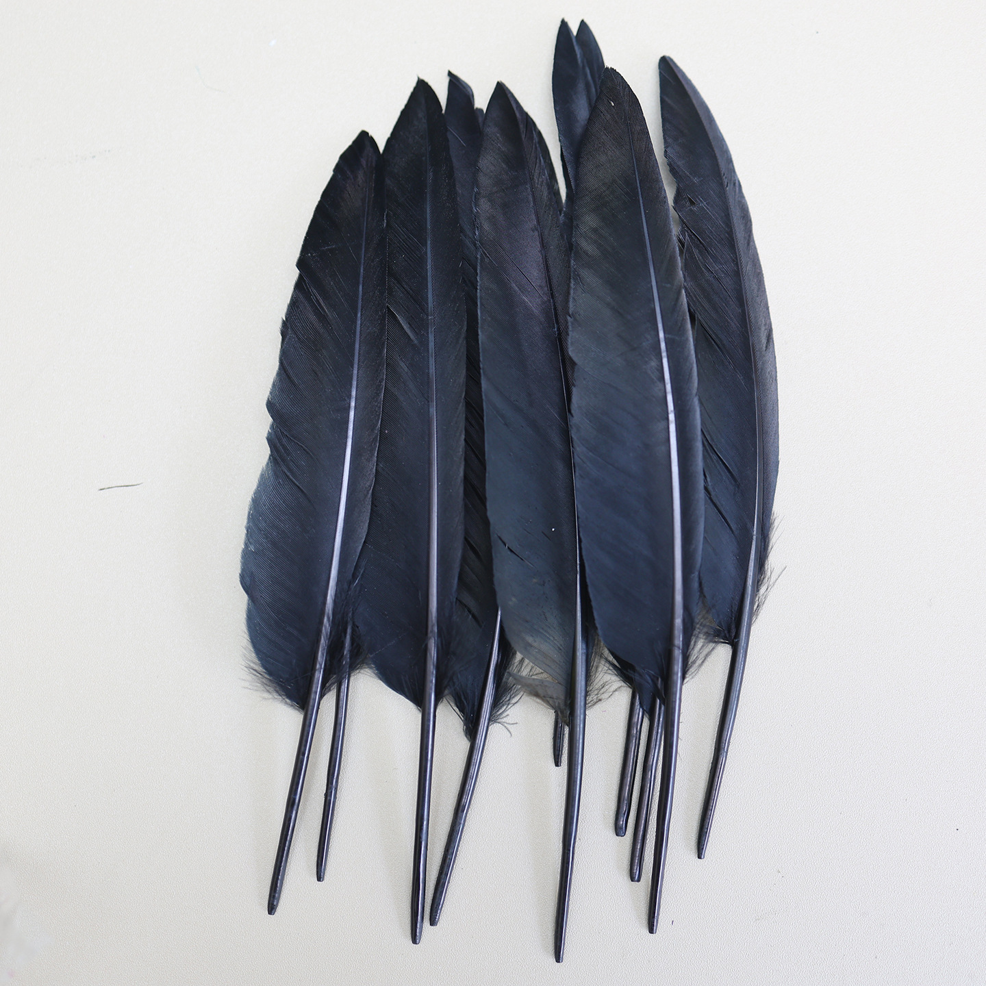 Plumas negras al por mayor DIY accesorios de decoración de ropa accesorios escenas de diseño de fábrica de plumas tienda directa