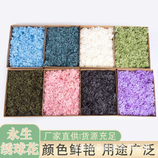 ����������С�~ľ������b250���ֹ��������z�����R����˹ģ����