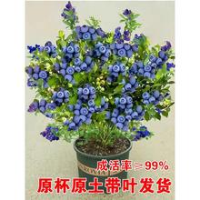 {ݮϷNֲԊW᠖l25{ݮ {÷玧