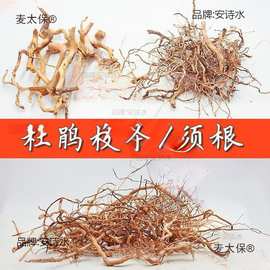 景木枝杜鹃根枝条摆件景树根巴西树枝生命之树洞景观缸用垒麦太保