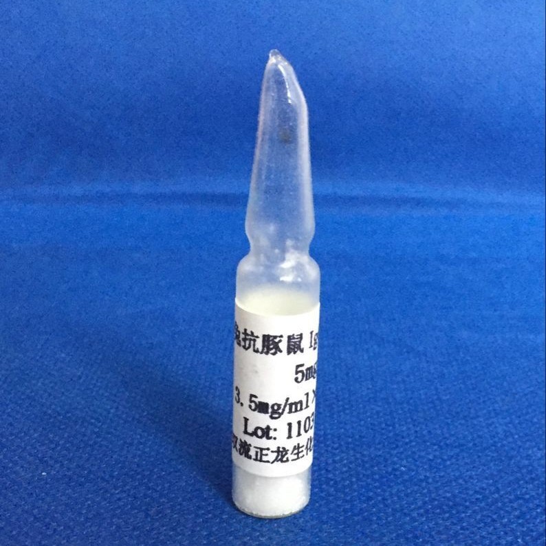 �ÿ�����IgG����-10 MG