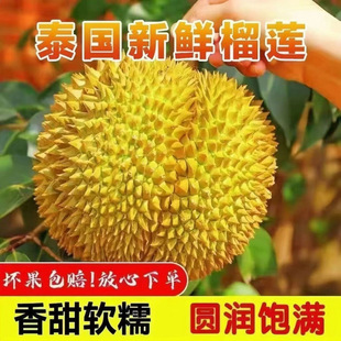 ̩�����r�Ꭷ������ɏ�������l���������ЋDˮ�������